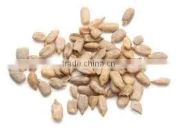 Sunflower Kernels Reasonable Prices Dried Sunflower Seeds Peeled Sunflower Seeds photo-2