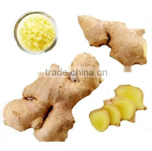 2016 crop air dried ginger at good price