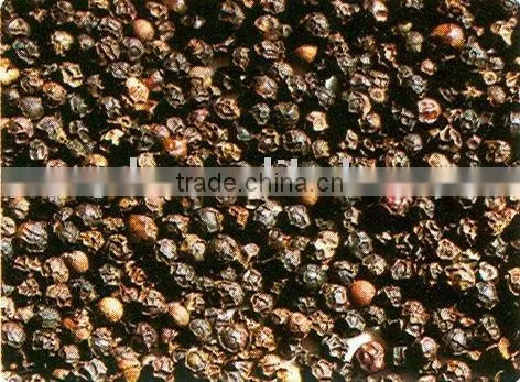 Black Pepper