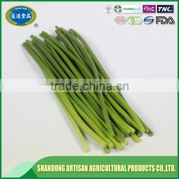 Chinese Garlic Sprout,garlic Shoot photo-2