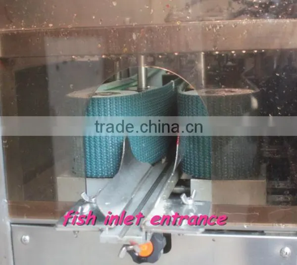 High Quality Low Price Medium Size Fish Salmon Fillet Cut Cutting Machine photo-4