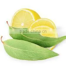 Eucalyptus Oil photo-3