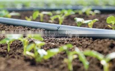 Good Quality 16mm Plastic Drip Irrigation Emitter Pipe for Agriculture photo-2