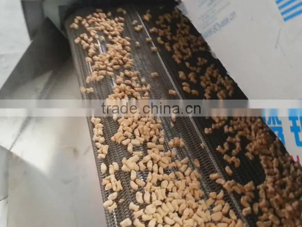 Jinan Eagle Freeze Drying Plant/Dog Feed Pellet Dryer