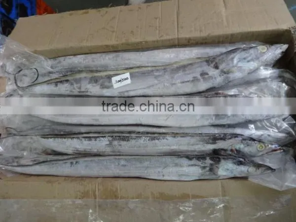 IQF Ribbon Fish photo-2