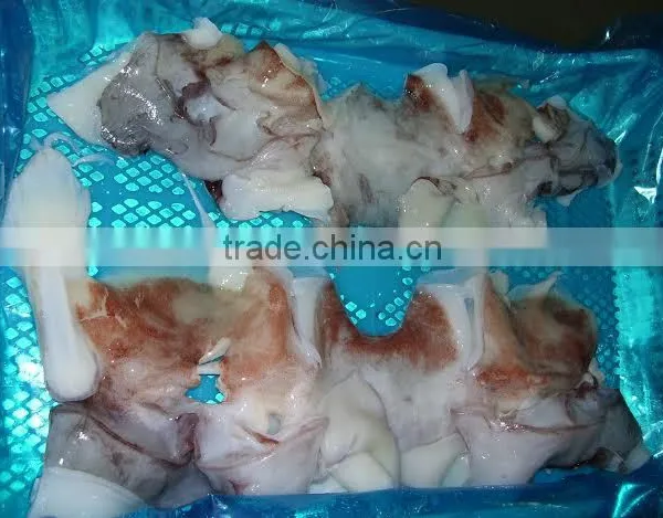Frozen Giant Squid Raw Necks photo-4