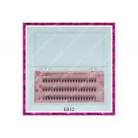 Individual Eyelash Extension
