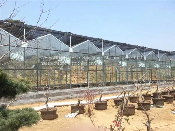 Multi Span Glass Greenhouse for Planting photo-5