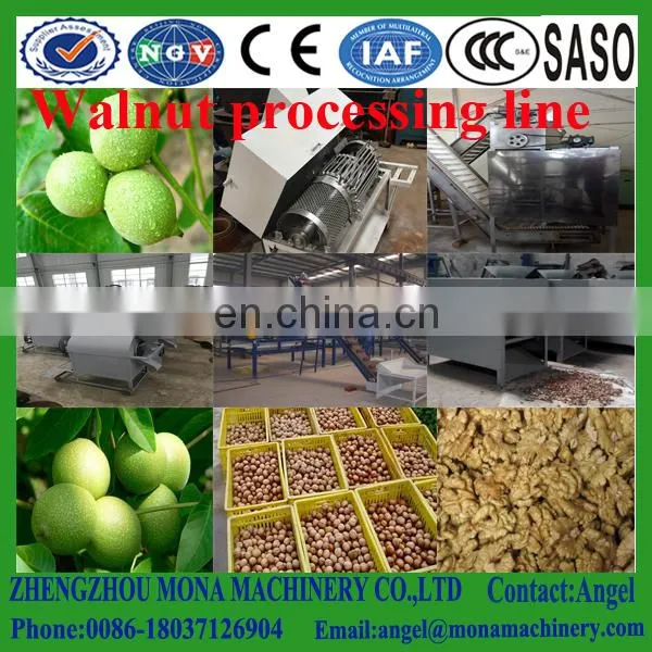High Capacity Green Walnut Husking Machine_ Green Walnut Peeling Washing Machine photo-5