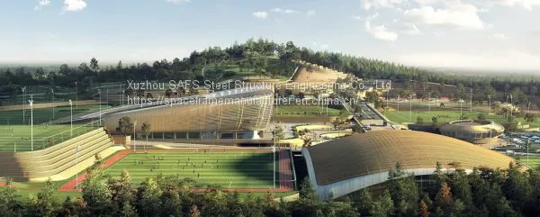 Football Stadium Roof Design photo-2