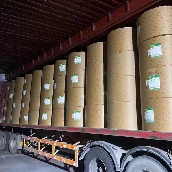 Shenzhen Kexin Green Packaging Co.,ltd company overview - view 2