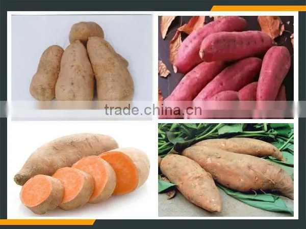 Twist Potato Slicer Machine With CE& ISO photo-5