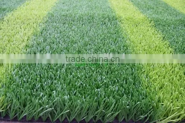 Gymnasium Use Artificial Grass for Soccer photo-2