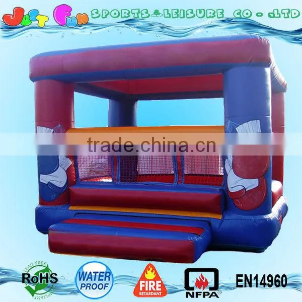 Interactive Game Bouncy Boxing Ring, Customized Size PVC Boxing Equipment photo-2