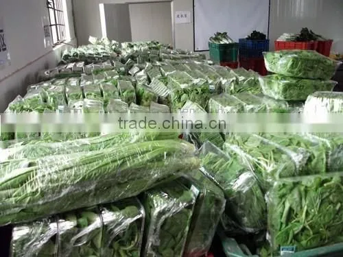 Full Servo Automatic Vegetable Packaging Machine photo-3