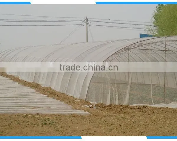 agricultural anti insect net
