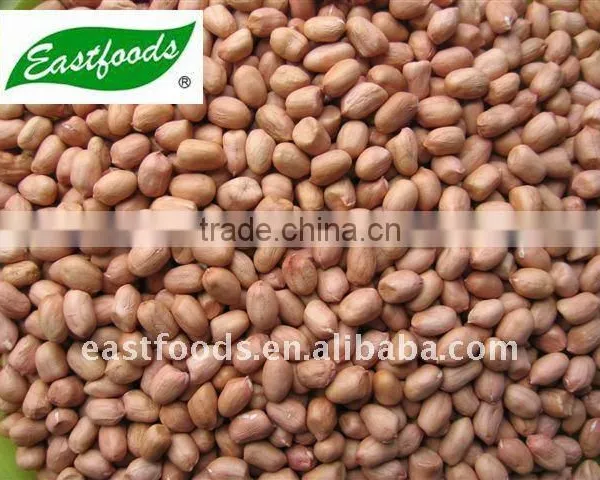 2014 Crop Shandong Peanut photo-4