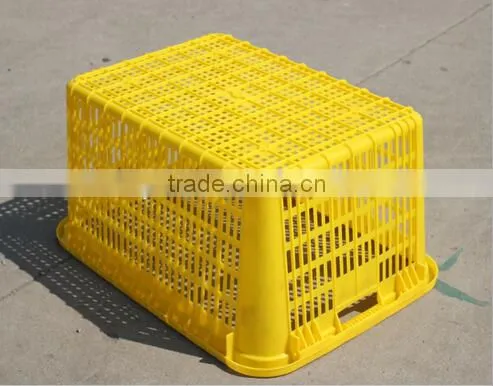 Plastic 790mm Basket photo-3