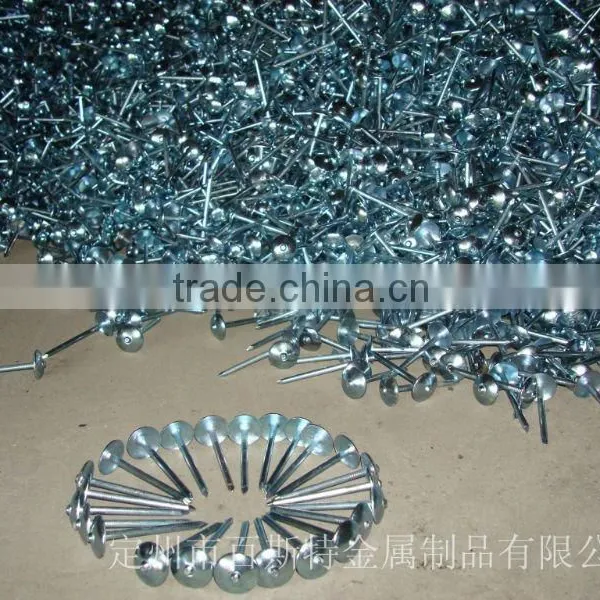 2.5inch Twistgalvanized Twist Shank Roofing Nail With Umbrella Head photo-6
