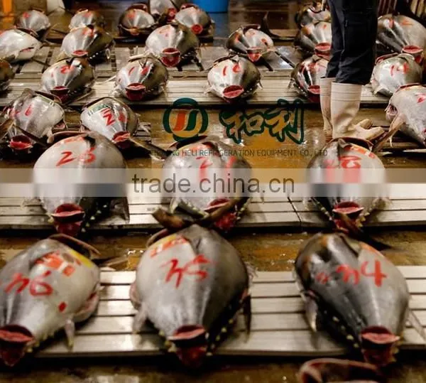 Ultra Low -65 Centigrade Temperature Freeze for Tuna Frozen Storage photo-2