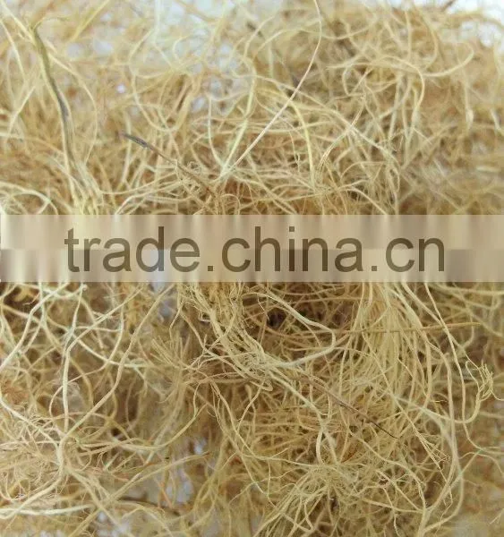Natural Palm Fiber