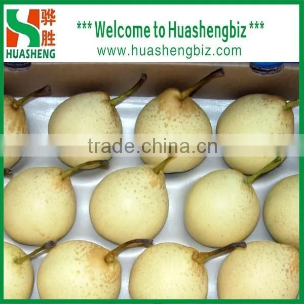 Hot Sell Pear/Ya Pear/Fresh ya Pear