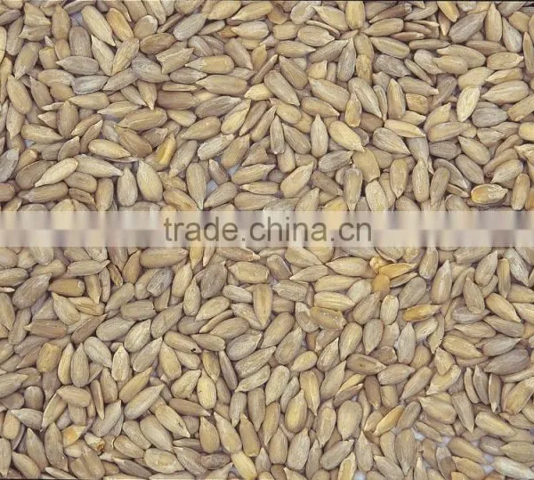 High Quality Sunflower Kernels NEW CROP photo-2