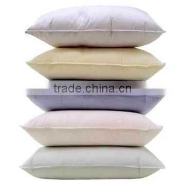 European Standard Goose Down Cushion