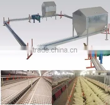 Automatic Rearing Breeders Chicken Farm Equipment photo-4
