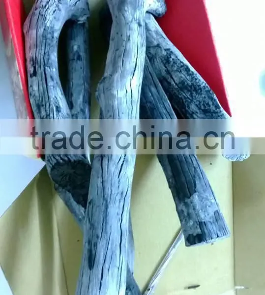 Chenust White Charcoal
