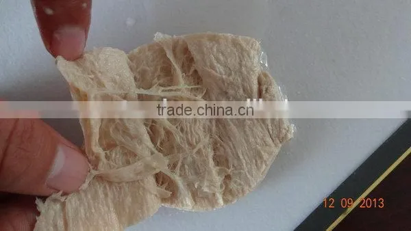 Cost Price Hot-sale Fully Automatic Soya Protein Machine photo-5