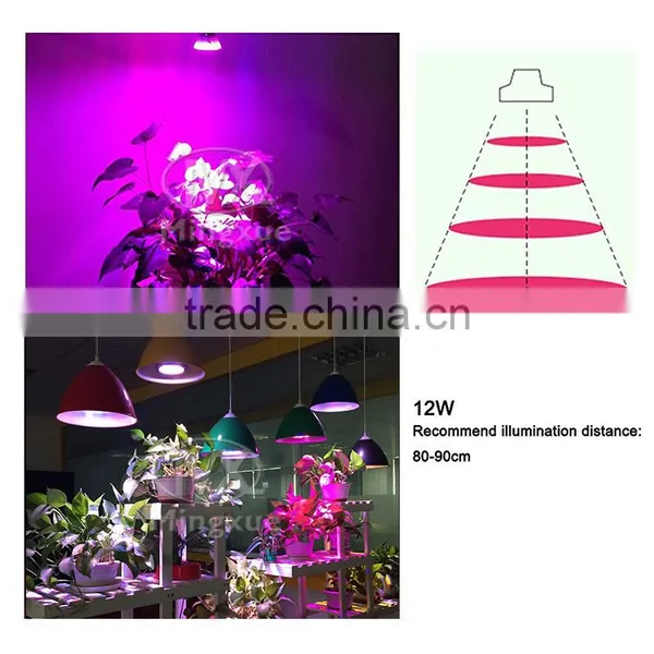12W Greenhouse Grow Par Light,Veg And Flower Light photo-5
