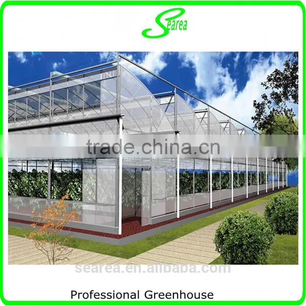 Multispan Tunnel Greenhouse for Strawberry Grape Raspberry , Agricultural Green Houses photo-5