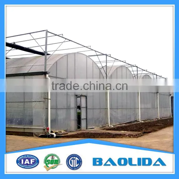 6m/8m/9/Arch Roof Greenhouse For Vegetables With Side Ventilation Covered By Plastic Film photo-3