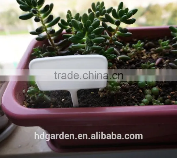 Hot Sale Colored Plastic Plant Marker Tag Wholesale photo-2
