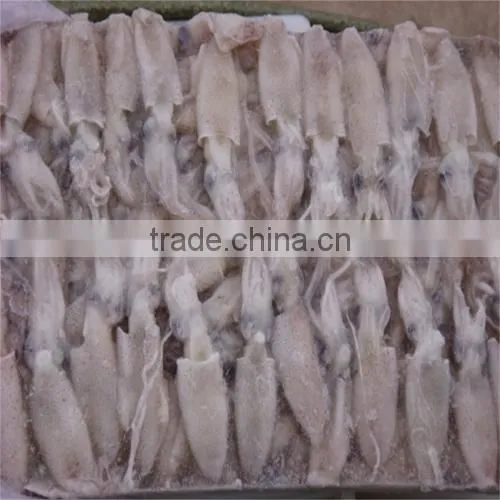 New Season Whole Round Frozen Baby Loligo Squid photo-5