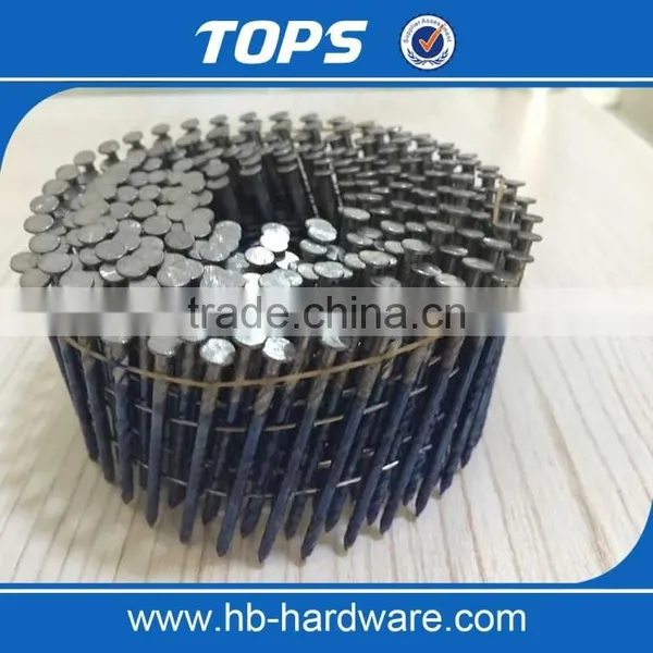 Vinyl Coated Screw Coil Nails Price photo-3