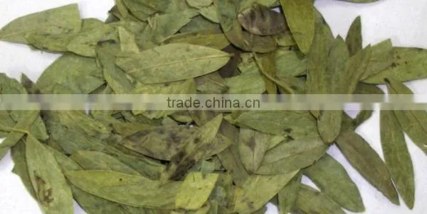 Cal.Sennosides Extract photo-2