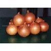 2012 Fresh Onion Price