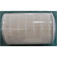 Golden Dragon Bus Air Filter