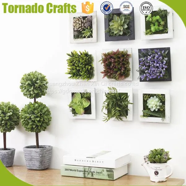 White Creative 3d Metope Succulent Plants Imitation Wooden Photo Frame Wall Decor Artificial Green Decoration photo-3