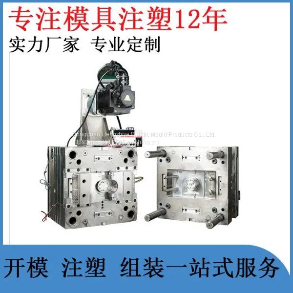 Plastic Mold Processing and Manufacturing of Plastic Shell Mold and Plastic Mold photo-3