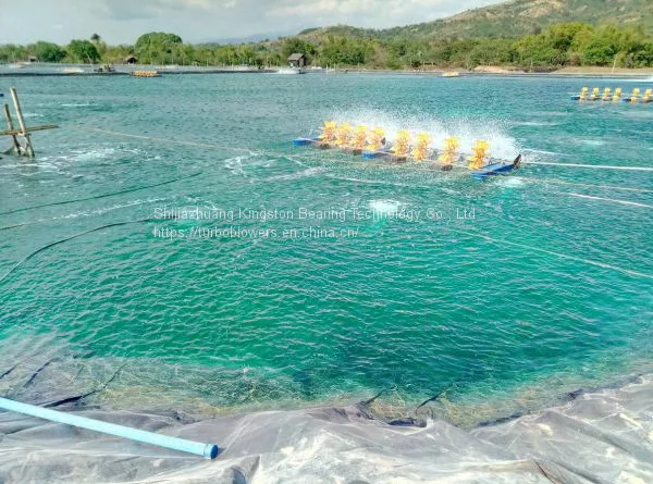 Turbo Blower ZCJSD for Shrimp Farm Aeration Aerator for CP Group Hatchery Farm photo-4