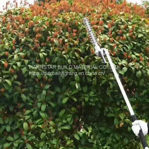 Small Backpack Gasoline Engine Grass Weeder / Weeding Machine/Knapsack Mower photo-3