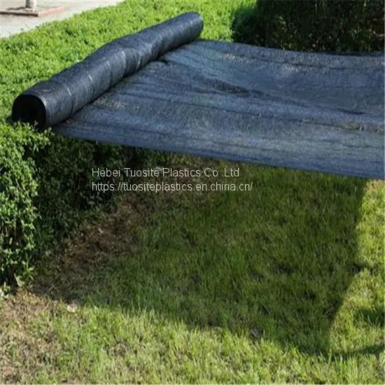 4X50m Shade Net for Green House /Green Shade Net Roll 80% Green Black Shade Mesh Fabric Net photo-3