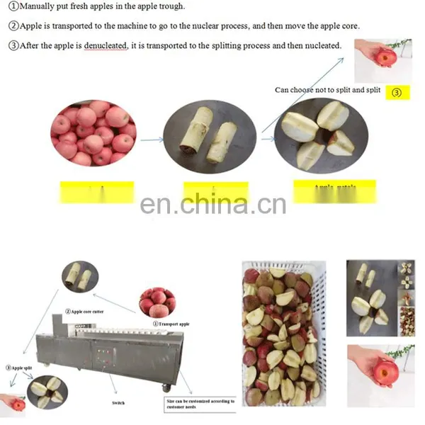 Plum Pear Washing Pitting Splitting Coring Blanching Drying Machine photo-5