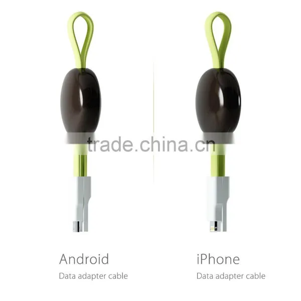 New Products Custom USB Charger Cable For Iphone photo-5