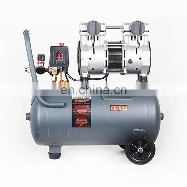 Bison China Promotional OEM Dental Oil Free Silent Air Piston Compressor photo-3
