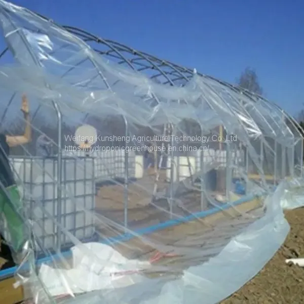 Tunnel Greenhouse