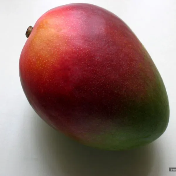 The Ultimate Guide to Growing Mango Trees Iwan Japan Mango Trees photo-3